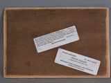 two tags on a piece of brown paper on a table
