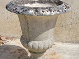 a bird that is standing next to a stone planter