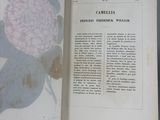 an open book with a picture of a pink flower on it