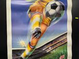 a poster of a soccer player kicking a soccer ball