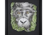 a close up of a picture of a monkey ' s face on a black background