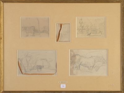 sketches of a horse drawn by a man and a woman