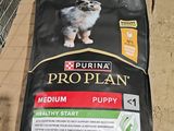 a bag of proplan puppy food on the ground