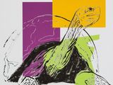 une image représentant un dessin de tortue sur un fond coloré
