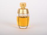 perfume bottle on a white background with a chain around the neck