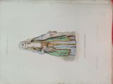an old book with a drawing of a woman in a blue dress