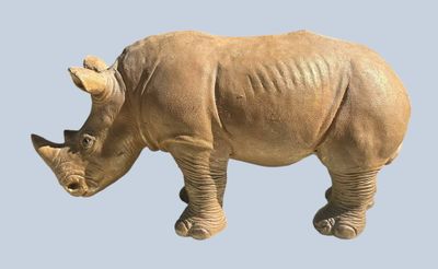 a rhino that is standing in the air with its head down