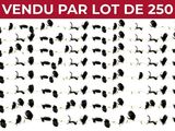 a large group of black and white birds flying in the sky