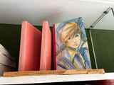 a painting of a girl on a shelf next to some books