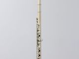 a silver flute on a clear stand against a gray background