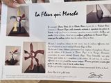 Photo 6/7 du lot