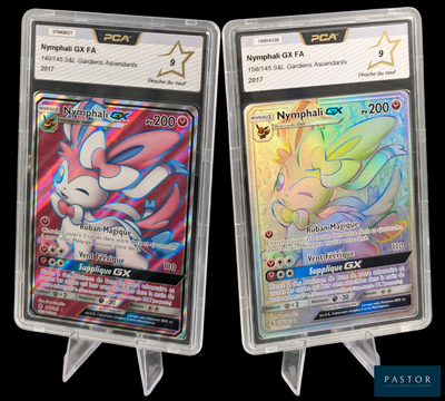 Deux cartes Pokémon sont présentées dans des pochettes en plastique sur un fond noir.