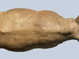 a large brown object with a turtle on it