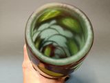 a person holding a bowl with a green liquid inside of it