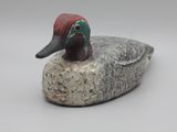 un oiseau perché sur un rocher