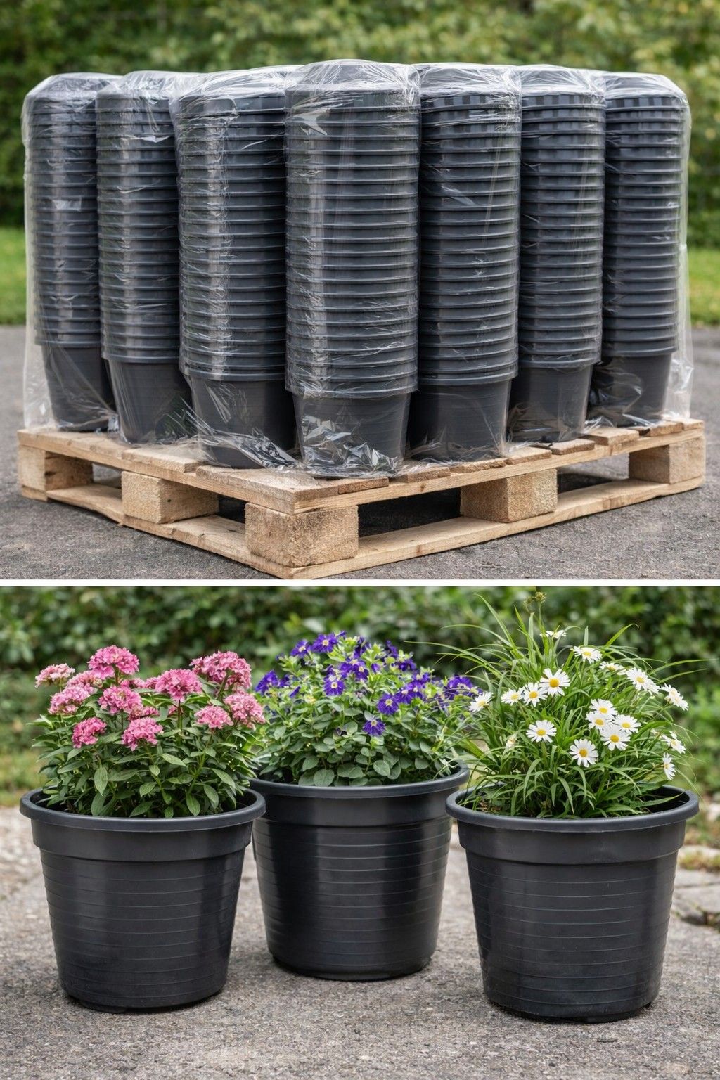 Destockage & Invendus