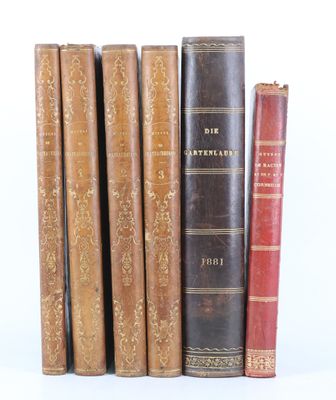plusieurs vieux livres sont alignés sur une surface blanche