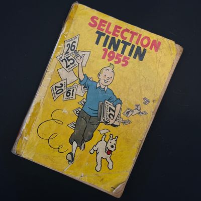 un livre jaune sur lequel figure l'image d'un homme et d'un chien