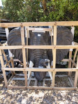 an elephant that is standing in a cage