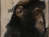 un tableau représentant un singe, accroché au mur