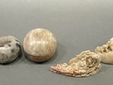 many shells that are on the table next to each other