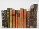 plusieurs vieux livres sont alignés sur une surface blanche