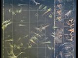 an overhead view of a game board with a lot of zombies on it