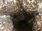 a close up view of a cake with chocolate frosting on it