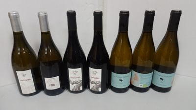 Lot de 7 Bts vin bio blancs : 4/Côtes catalannes Mascareil +…