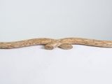 a wooden stick with a curved handle sitting on a white surface