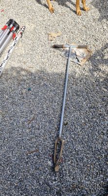 un chien qui se tient à côté d'outils posés par terre