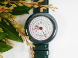 une photo en gros plan d'une montre avec des fleurs en arrière-plan