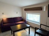 a living room with a purple couch and a black coffee table