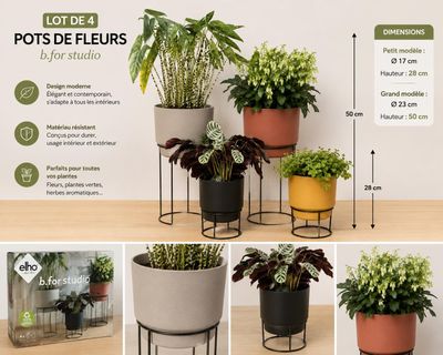 plusieurs types de plantes en pot, de tailles et de couleurs variées