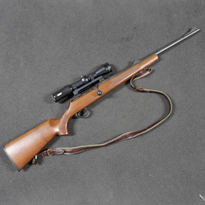 le fusil est posé par terre à côté du pistolet