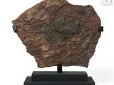 an image of a piece of rock on a stand