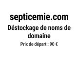 Photo 1/1 du lot