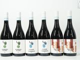 six bouteilles de vin sont alignées sur une surface blanche