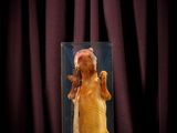 an image of a dog in a glass box