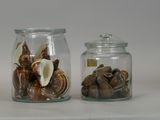 two glass jars with shells inside of them on a table