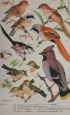 a lot of birds that are sitting on a tree branch