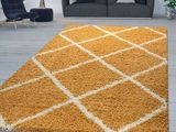 an image of a living room with a rug on the floor