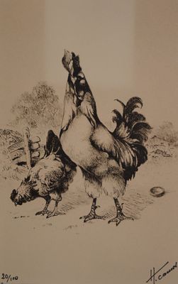 a drawing of a rooster and a chicken in a field