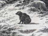 a drawing of a bear that is sitting in the snow