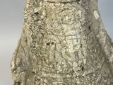a stone vase that is sitting on a table