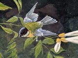 a painting of a bird sitting on a branch of a tree