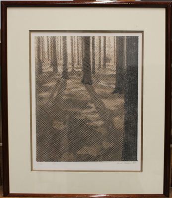 an image of a picture of a forest with trees in the background