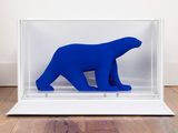 a blue polar bear in a glass case on the floor