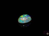 an oplite in the dark with a black background