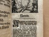 an old book with a picture of a deer on it